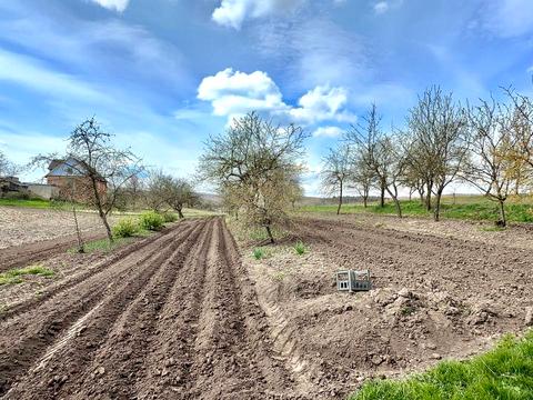 будинок за адресою с. Чорнівка, Головна