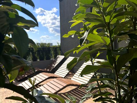 квартира за адресою Гімназична вул., 13