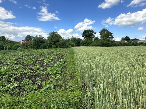 будинок за адресою с. Кузьмин, Незалежності, 29