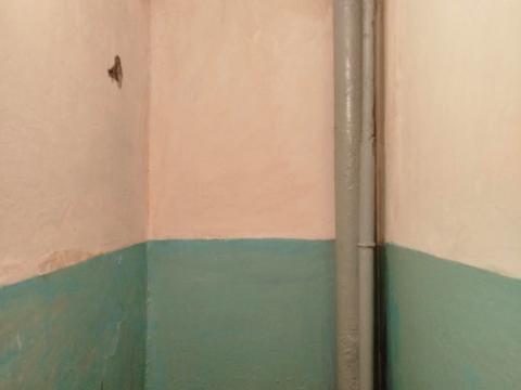 квартира по адресу Академика Павлова ул., 132в