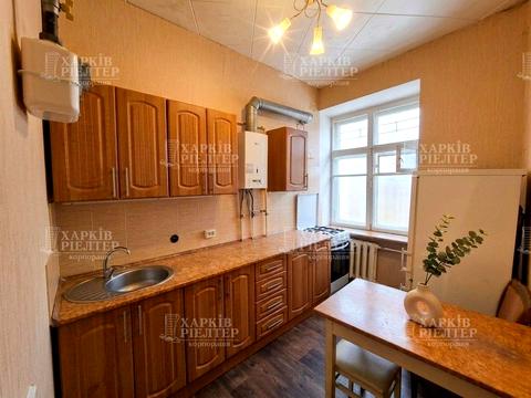 квартира за адресою Григорія Сковороди вул. (Пушкінська), 54