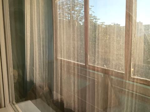 квартира по адресу Героев Труда ул., 48а