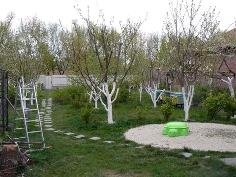 дом по адресу Центральная ул.