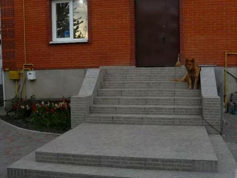дом по адресу Центральная ул.