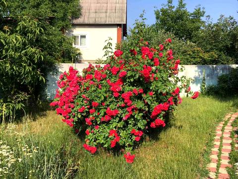 дом по адресу підгірна
