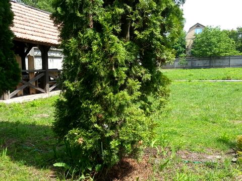 коммерческая по адресу Київська, 69
