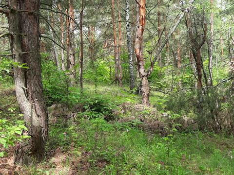 ділянка за адресою Сологуба вул., 30