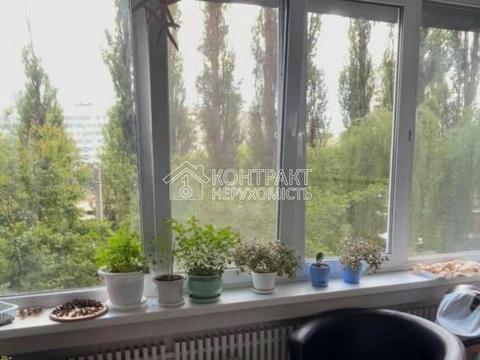 квартира по адресу Кричевского ул., 41