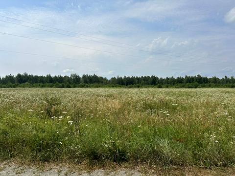 дом по адресу Лінія 4, 30