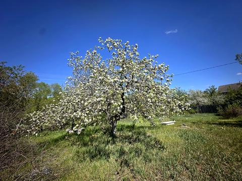 дом по адресу Лінія 4, 30
