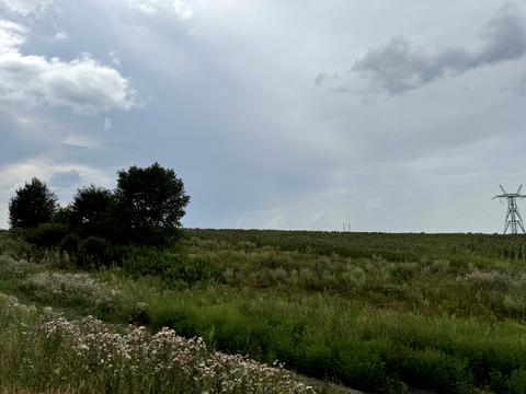 1868232587656325