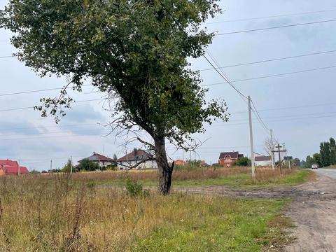 ділянка за адресою Центральна