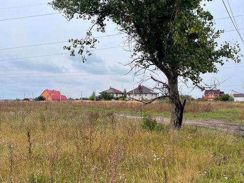 ділянка за адресою Центральна