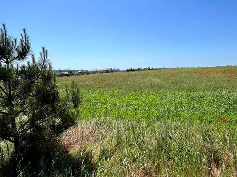 ділянка за адресою смт. Таїрове, Масив 14