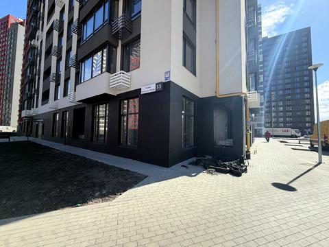 коммерческая по адресу Олександра Олеся ул., (Будинок 10.2)