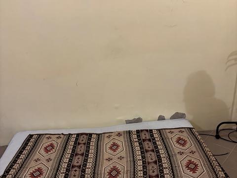 квартира по адресу Слепого ул. (Радищева), 21