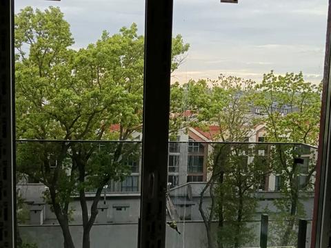 квартира за адресою с. Софіївська Борщагівка, Свободи вул., 5