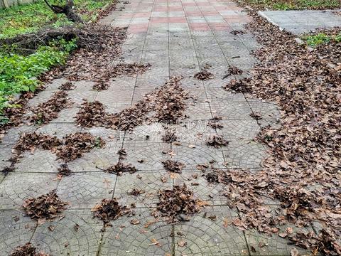 дом по адресу Малоданилівський шлях, 55