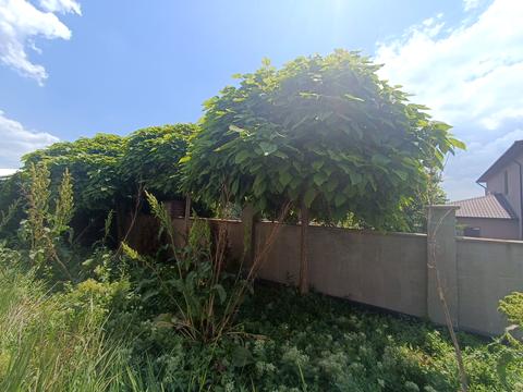 будинок за адресою Дворянська вул.