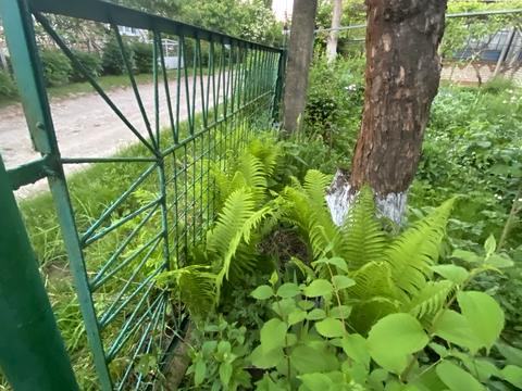 дом по адресу Садова