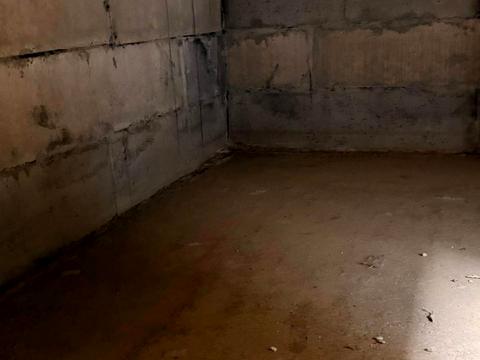 дом по адресу Концовская ул.