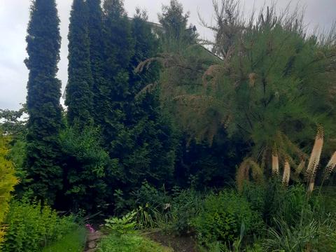 будинок за адресою Ганжі вул., 62