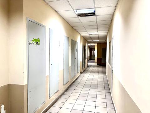 комерційна за адресою Олени Пчілки вул., 5