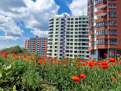 квартира за адресою Тернопіль, Смакули вул., 2.2