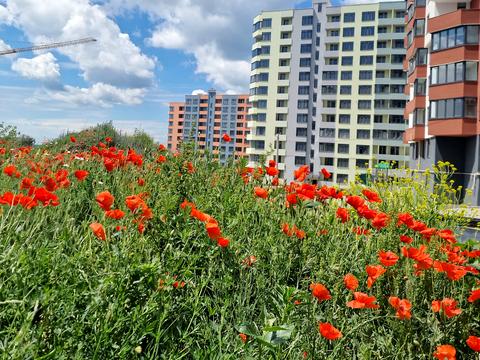 квартира за адресою Тернопіль, Смакули вул., 2.2