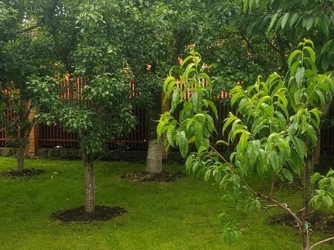 дом по адресу Линия 2-я ул.