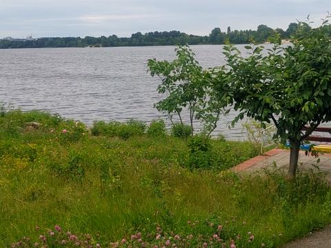 дом по адресу Линия 2-я ул.