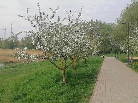 квартира по адресу Степана Бандери ул., (Будинок 7)
