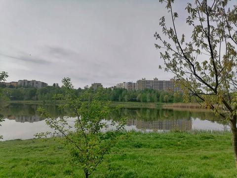 квартира по адресу Степана Бандери ул., (Будинок 7)