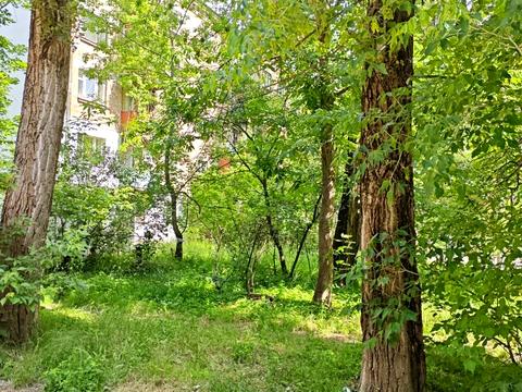 квартира по адресу Елены Телиги ул., 39-В