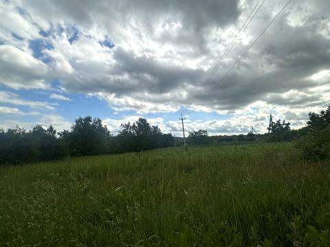ділянка за адресою с. Лісові Гринівці, 