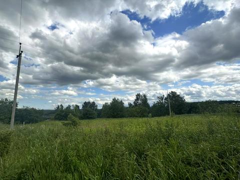 ділянка за адресою с. Лісові Гринівці, 