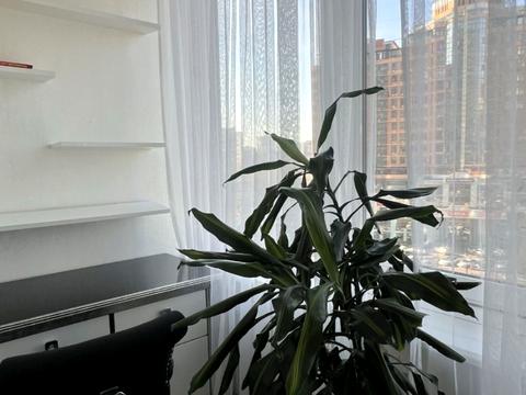 квартира за адресою Одеса, Генуезька вул., 5