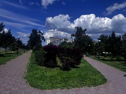 квартира за адресою Литовський просп. (Мінський), 10-А