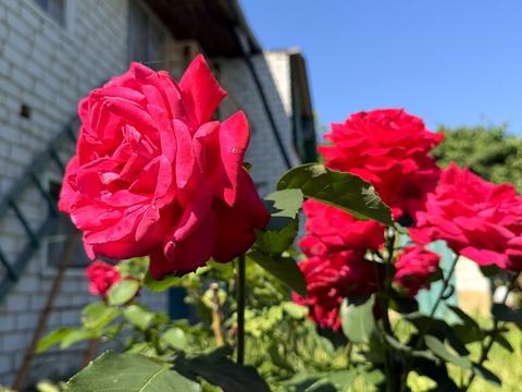 дом по адресу Старшего лейтенанта Мацы ул., 13/1