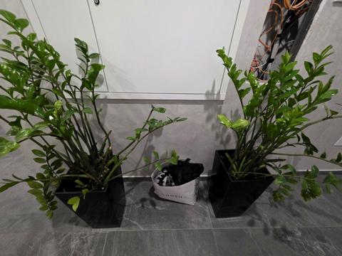 квартира за адресою Одеської громади вул. (Авдєєва-Чорноморського), 7а