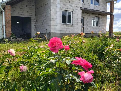 будинок за адресою Шевченка вул.