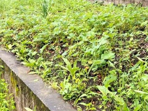 будинок за адресою Лісова