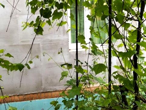 будинок за адресою Лісова