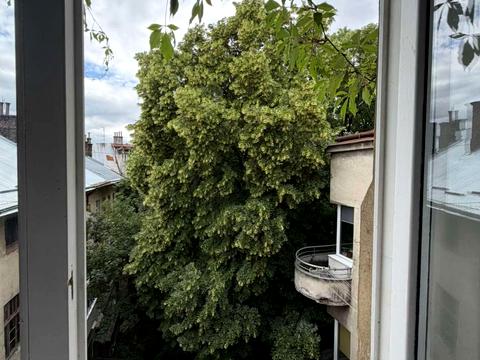 квартира по адресу Новый Свет ул., 11