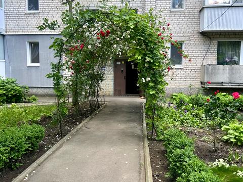 квартира по адресу Джерельна ул. (Родникова), 79 к2