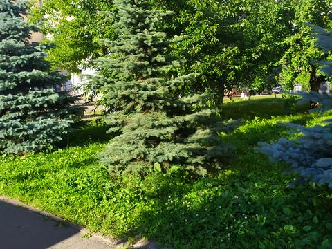 квартира по адресу Кадетский Гай ул., 3