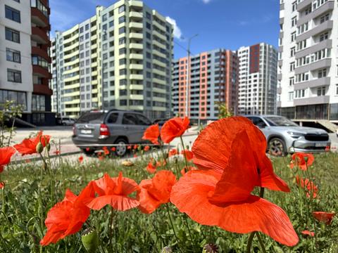 квартира за адресою Смакули вул., 2.2