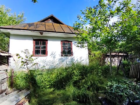 дом по адресу с. Куриловка, В. Котика ул., 12