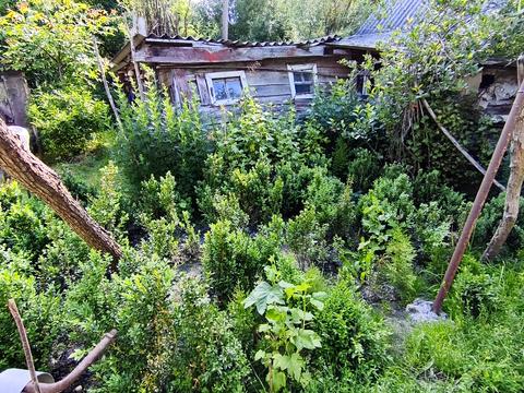 дом по адресу с. Куриловка, В. Котика ул., 12