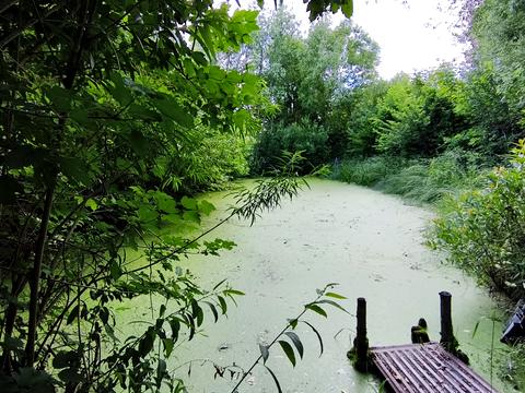 дом по адресу с. Куриловка, В. Котика ул., 12